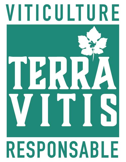 champagne terra vitis